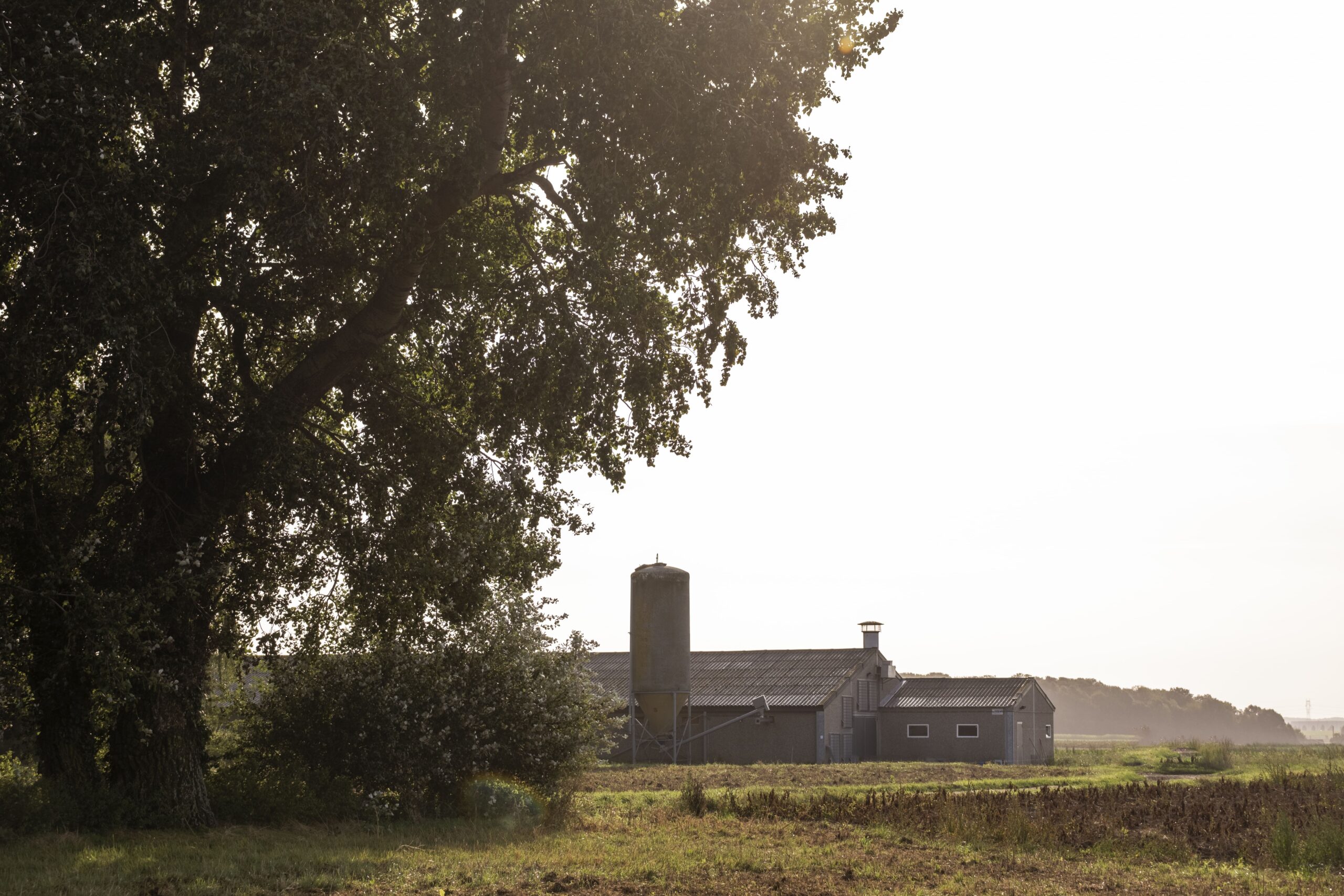 Siège de l'entreprise Lanckriet