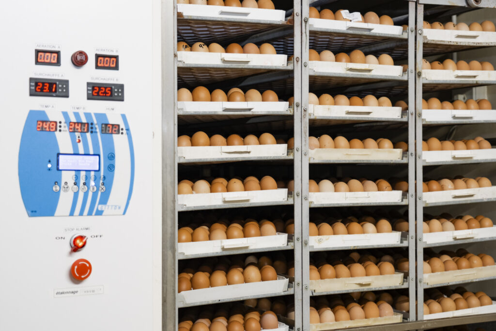 Les services de l'entreprise Lanckriet